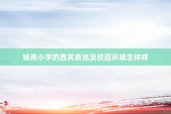 城南小学的西宾质地及校园环境怎样样
